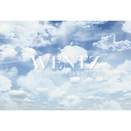 Fabric Photography Background Sky / Backdrop 2121