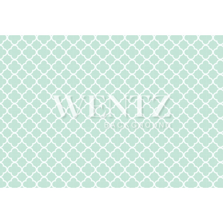 Fabric Photography Background Geometric Quadrifolium / Backdrop 2130