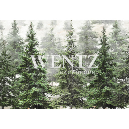 Fabric Photography Background Pine Forest / Backdrop 2370