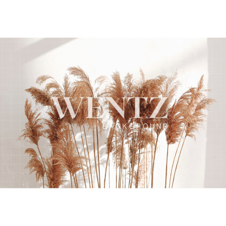 Fabric Photography Background Pampas Grass / Backdrop 2437