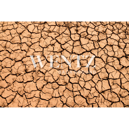 Fabric Photography Background Cracked Floor of the Desert / Backdrop 2440