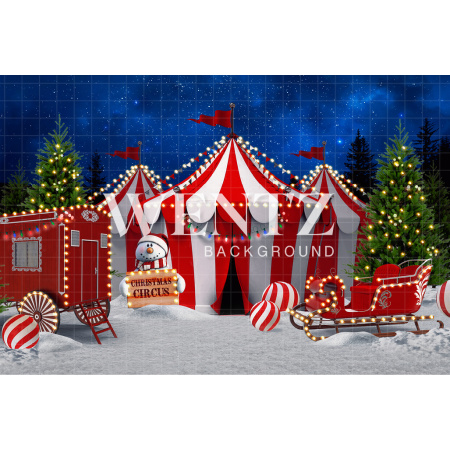 Fabric Photography Background Christmas Circus / 2465