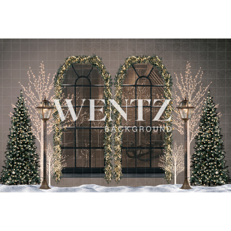 Fabric Photography Background Christmas Window / Backdrop 2494