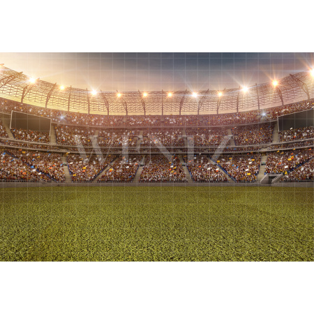 Fabric Photography Background Soccer World Cup / Backdrop 2509