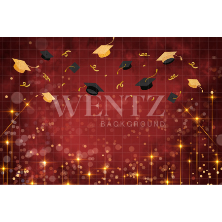 Fabric Photography Background Graduation / Backdrop 2562