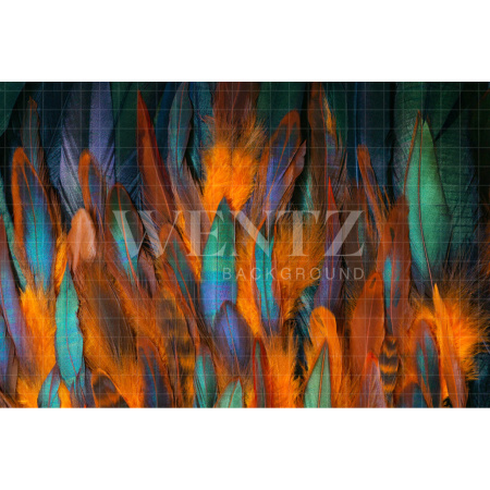 Fabric Photography Background Colorful Carnival Feathers / Backdrop 2572