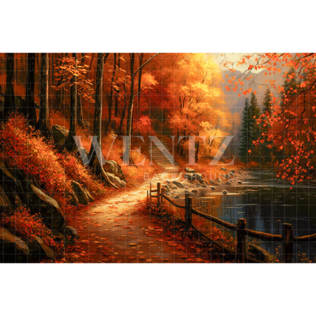 Fabric Photography Background Fall Grove / Backdrop 2951