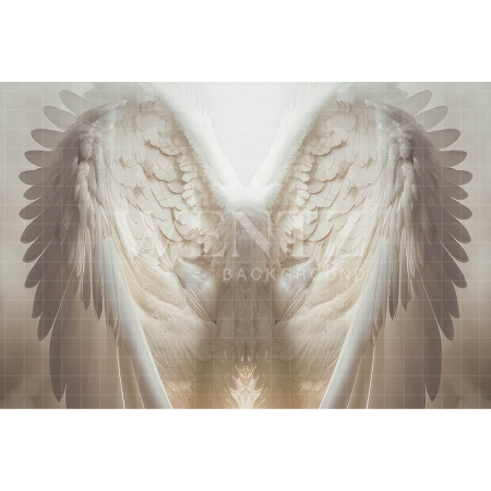 Fabric Photography Background Wings / Backdrop 3495