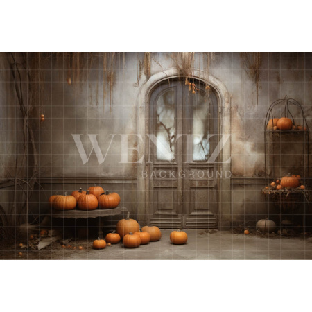 Fabric Photography Background Rustic Door with Pumpkins / Backdrop 3722