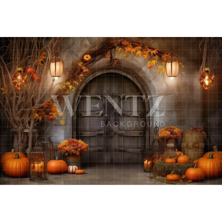 Fabric Photography Background Halloween Rustic Door / Backdrop 3723