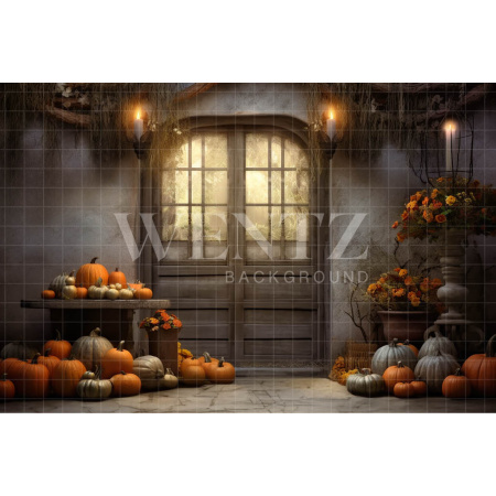 Fabric Photography Background Halloween Rustic Door / Backdrop 3724