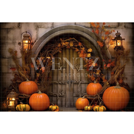 Fabric Photography Background Halloween Rustic Door / Backdrop 3725