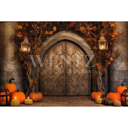 Fabric Photography Background Halloween Rustic Door / Backdrop 3726