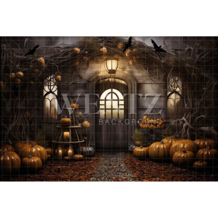 Fabric Photography Background Halloween Facade / Backdrop 3738