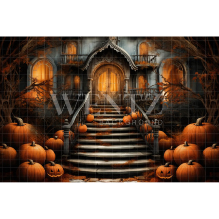 Fabric Photography Background Spooky House Balcony / Backdrop 3742