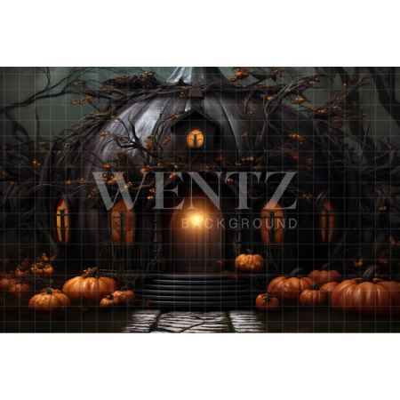 Fabric Photography Background Pumpkin House / Backdrop 3745