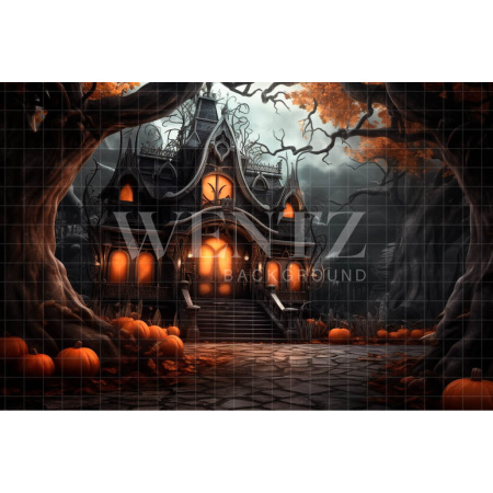 Fabric Photography Background Haunted House / Backdrop 3757