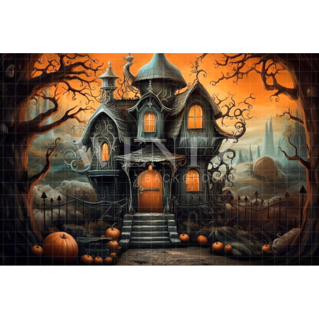 Fabric Photography Background Haunted House / Backdrop 3758