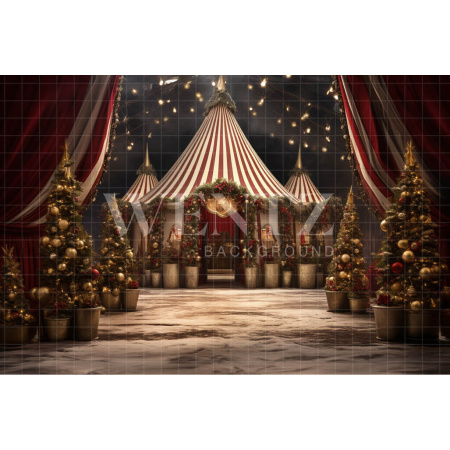 Fabric Photography Background Christmas Circus / Backdrop 4095