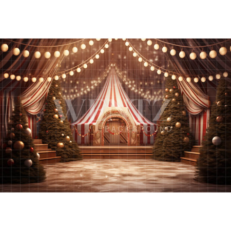 Fabric Photography Background Circus Tent / Backdrop 4123