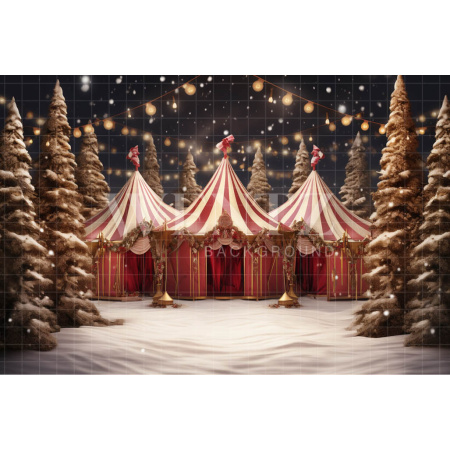 Fabric Photography Background Circus Tent / Backdrop 4144