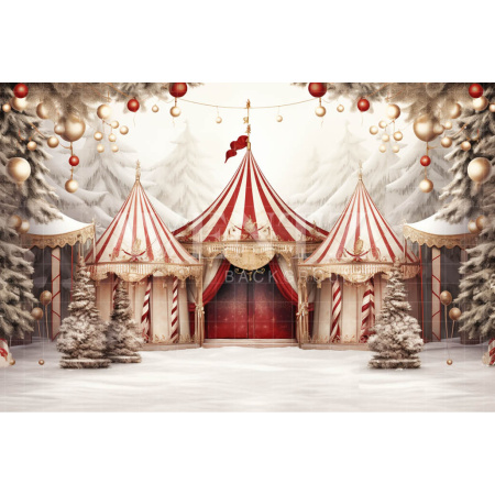 Fabric Photography Background Christmas Circus / Backdrop 4145