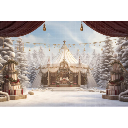 Fabric Photography Background Christmas Circus / Backdrop 4146