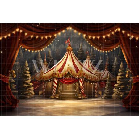 Fabric Photography Background Circus Tent / Backdrop 4159