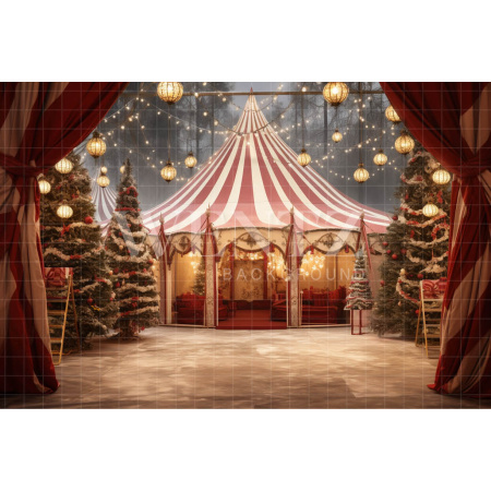 Fabric Photography Background Christmas Circus / Backdrop 4176