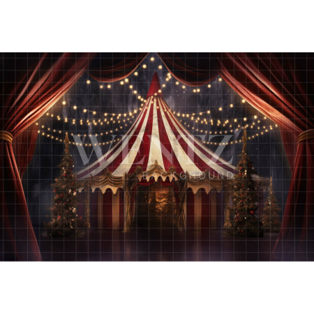 Fabric Photography Background Christmas Circus / Backdrop 4258