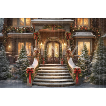 Fabric Photography Background Christmas Facade / Backdrop 4328