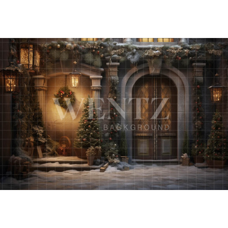 Fabric Photography Background Christmas Facade / Backdrop 4331