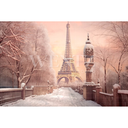 Fabric Photography Background Winter in Paris / Backdrop 4384