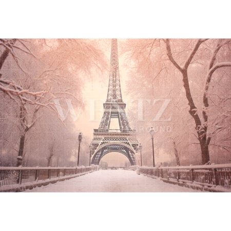 Fabric Photography Background Winter in Paris / Backdrop 4385