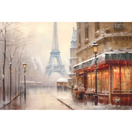 Fabric Photography Background Winter in Paris / Backdrop 4386