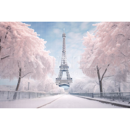 Fabric Photography Background Winter in Paris / Backdrop 4396