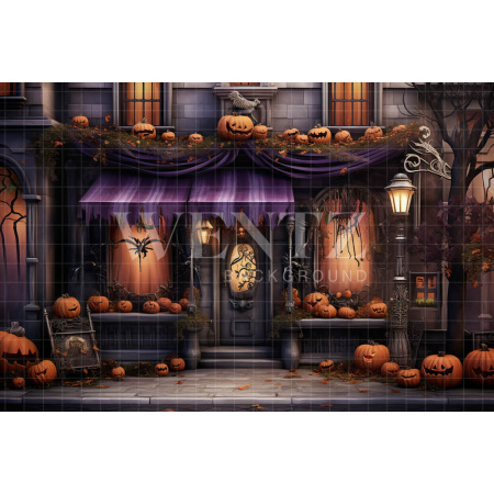 Fabric Photography Background Halloween Facade / Backdrop 4507