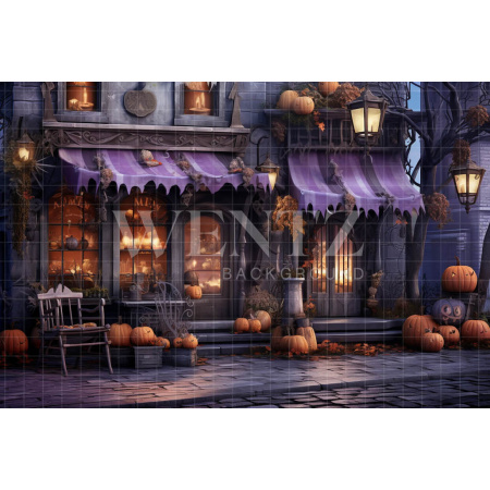 Fabric Photography Background Halloween Facade / Backdrop 4508