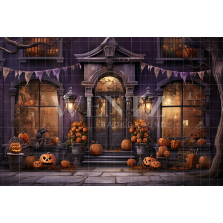 Fabric Photography Background Halloween Facade / Backdrop 4509