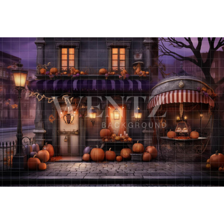 Fabric Photography Background Halloween Facade / Backdrop 4510