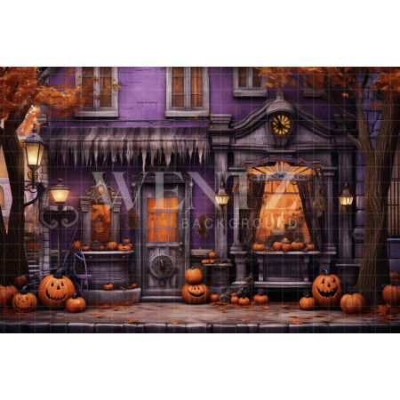 Fabric Photography Background Halloween Facade / Backdrop 4511