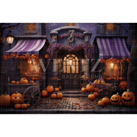 Fabric Photography Background Halloween Facade / Backdrop 4512