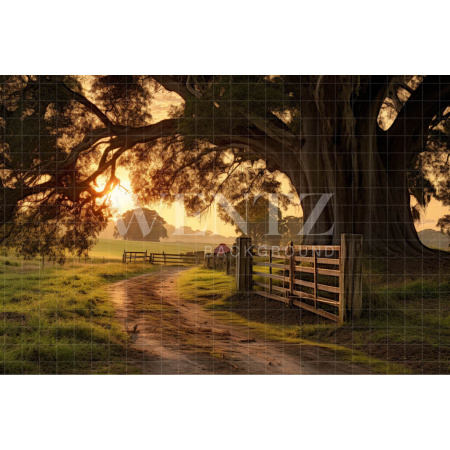 Fabric Photography Background Farm Gate / Backdrop 4764