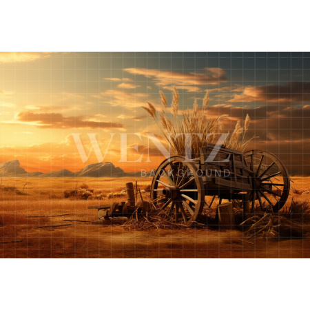 Fabric Photography Background Wagon / Backdrop 4771