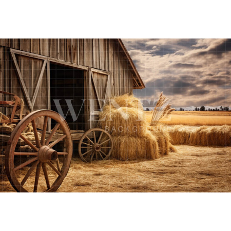 Fabric Photography Background Barn / Backdrop 4778