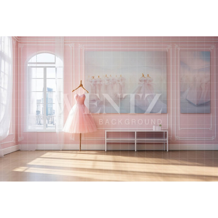 Fabric Photography Background Ballet Studio / Backdrop 4797