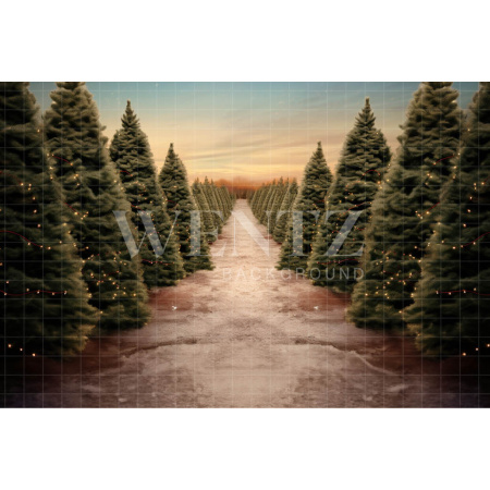 Photographic Background in Fabric Christmas Fir Trees / Backdrop 5057