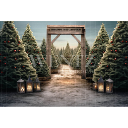 Photographic Background in Fabric Pine Tree Farm / Backdrop 5062