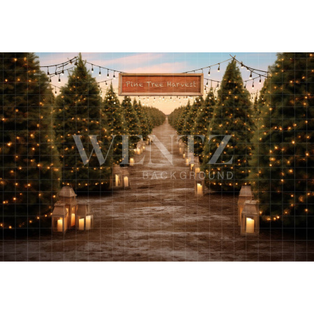 Photographic Background in Fabric Pine Tree Harvest / Backdrop 5074