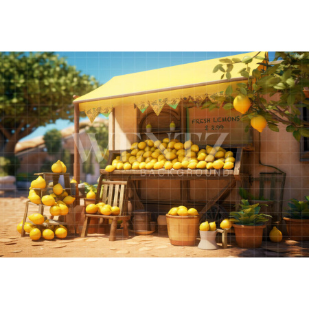 Photographic Background in Fabric Lemonade Stand / Backdrop 5134